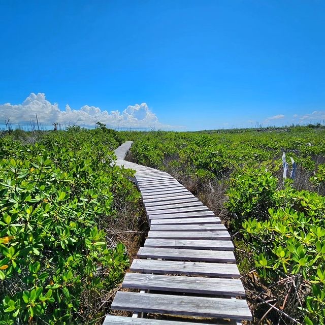 recommendation image