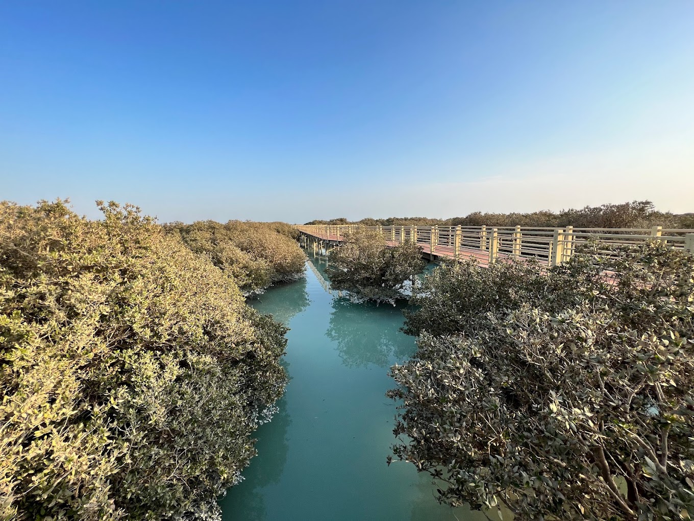 recommendation image