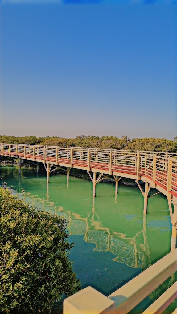 recommendation image