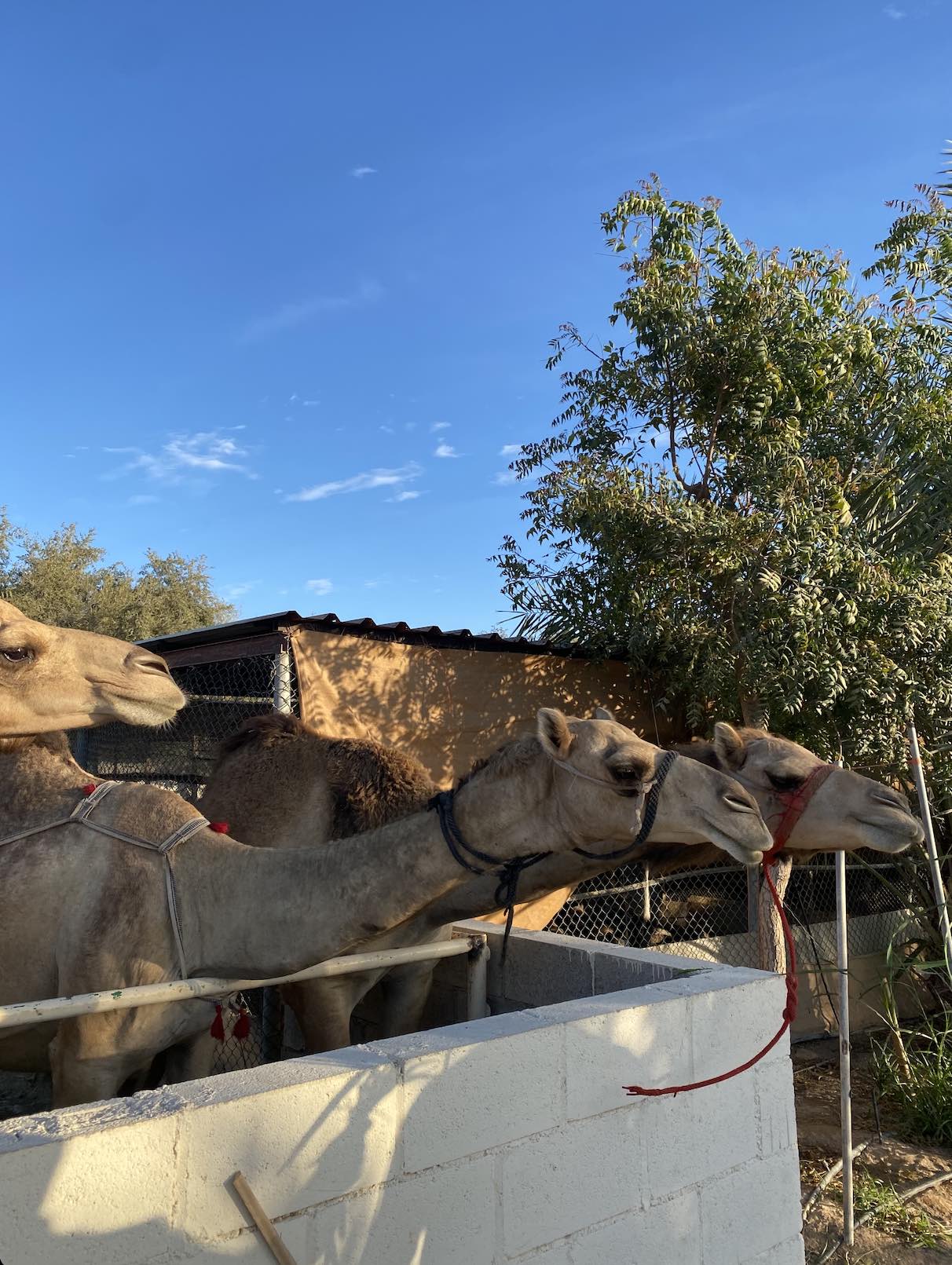 recommendation image