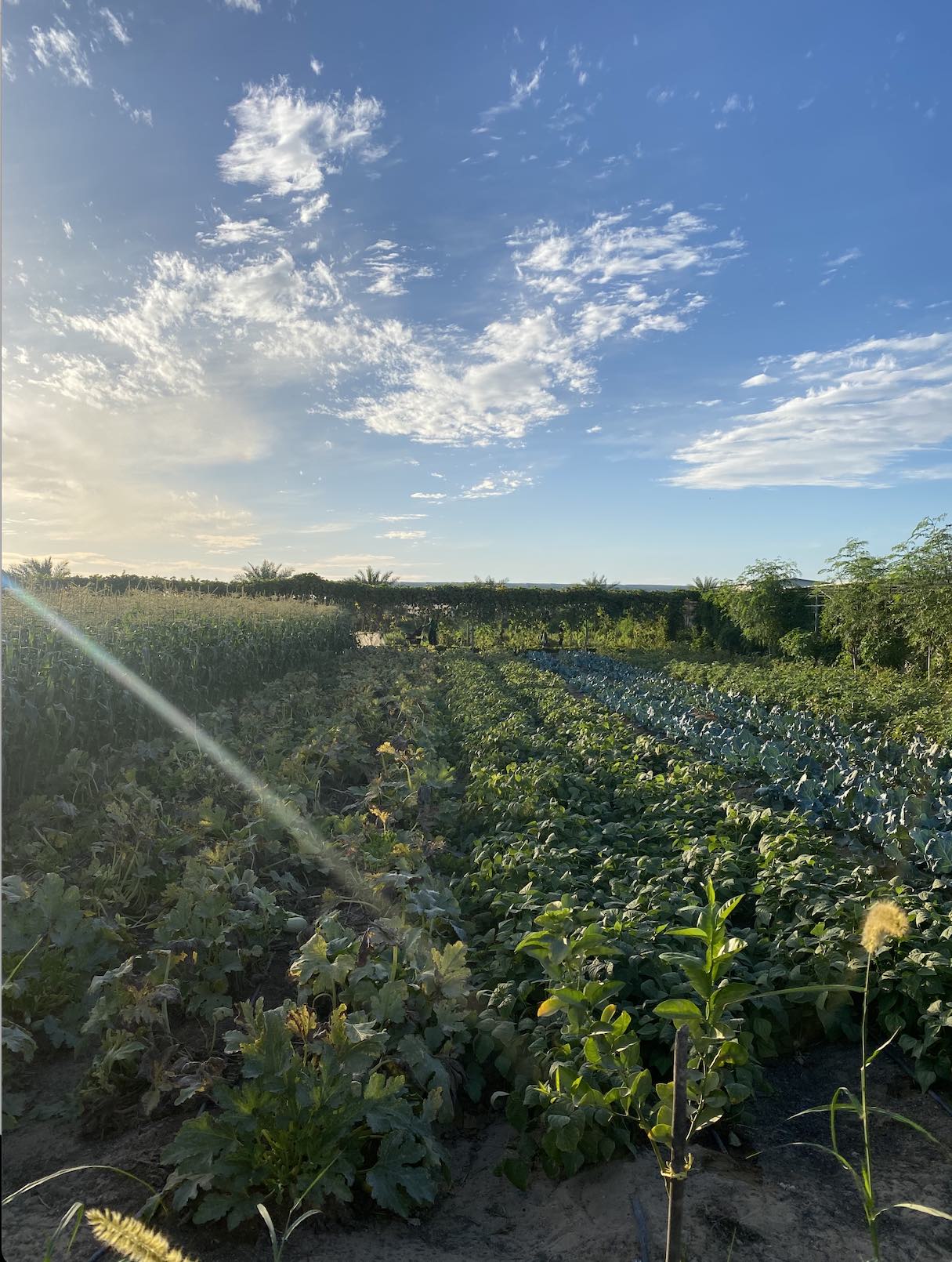 recommendation image