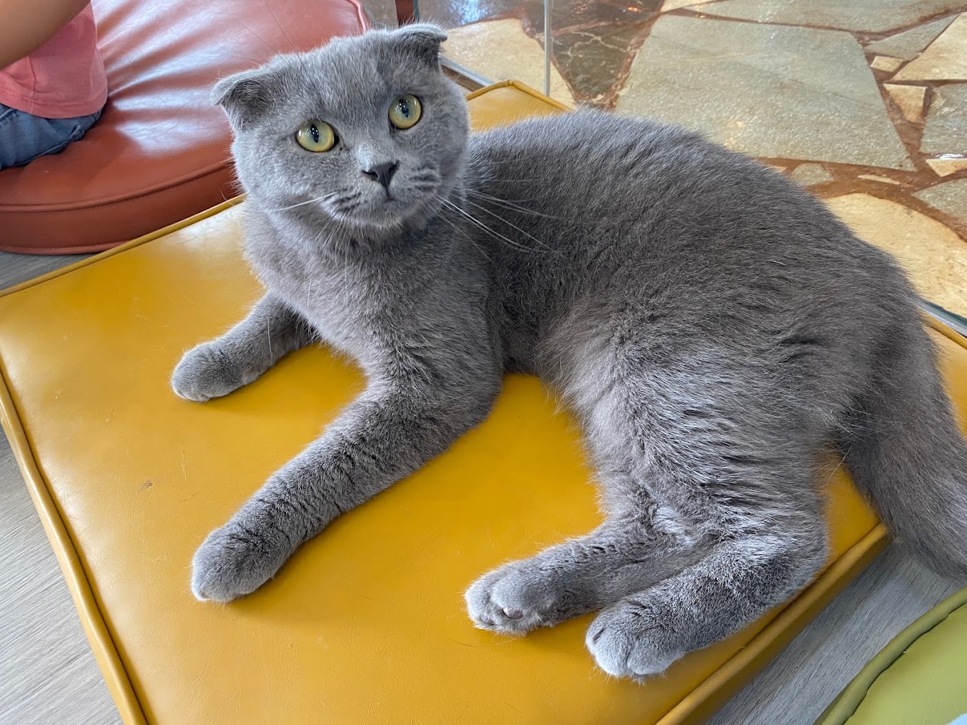 recommendation image