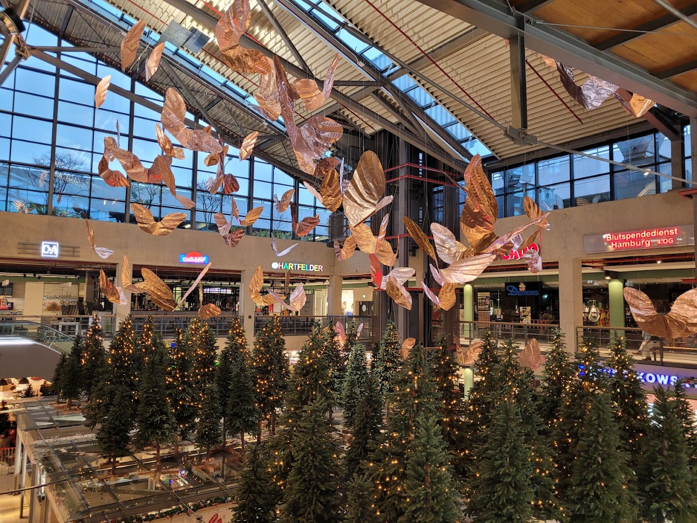 recommendation image