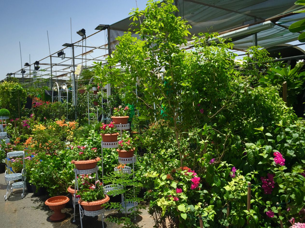 recommendation image