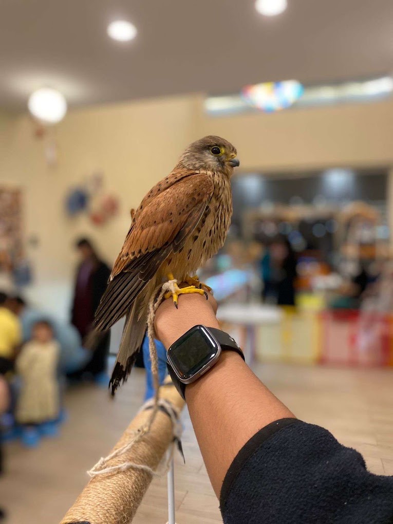 recommendation image