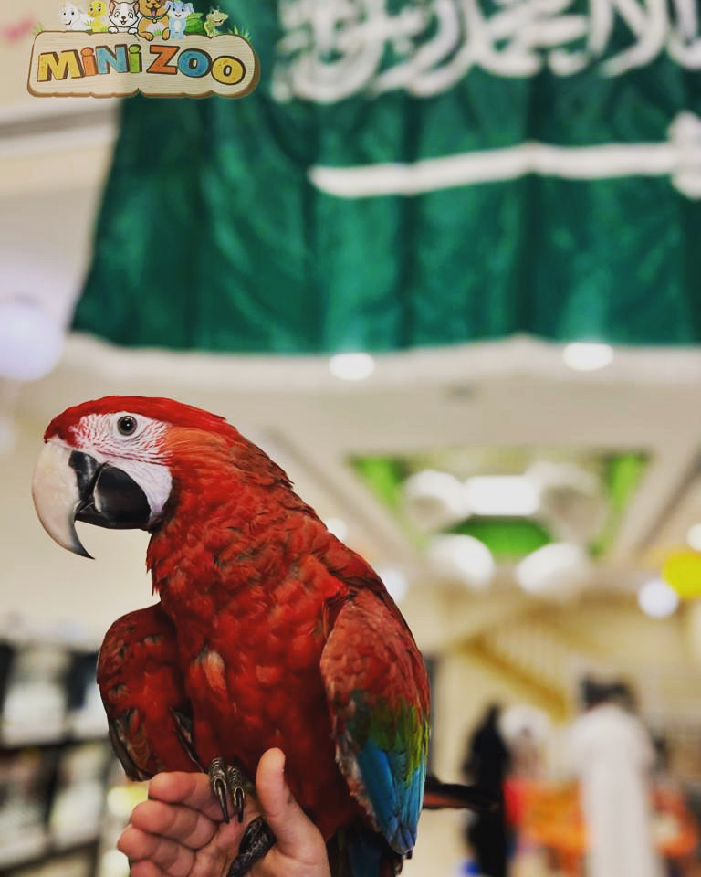 recommendation image