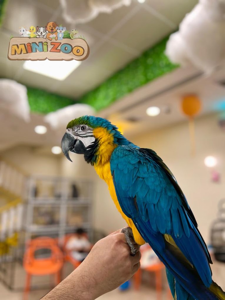 recommendation image