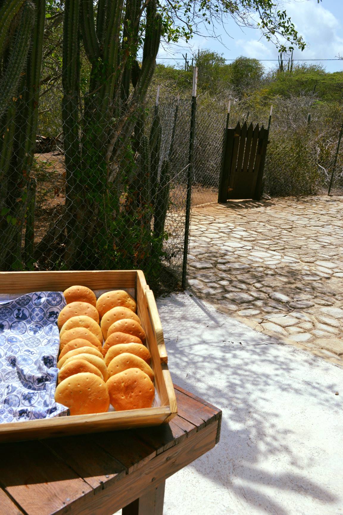 recommendation image