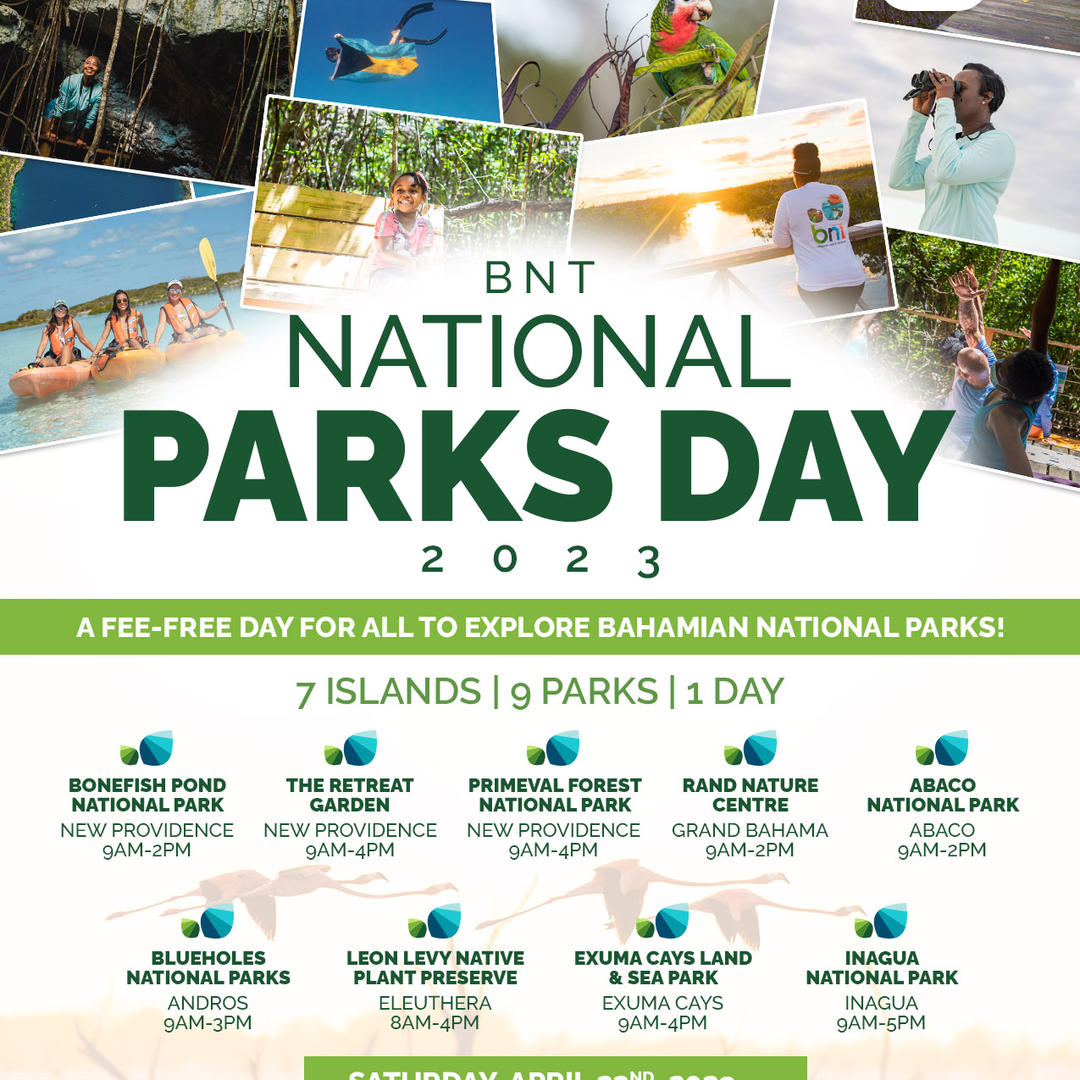 recommendation image