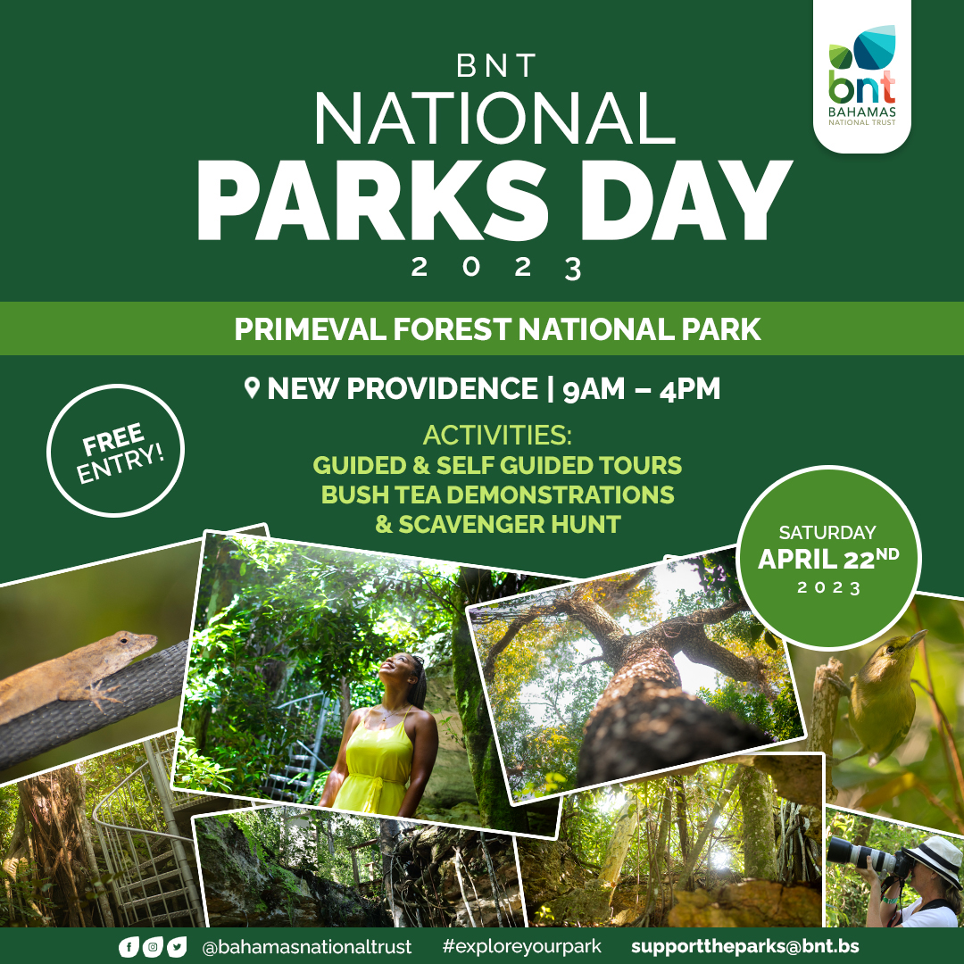 recommendation image