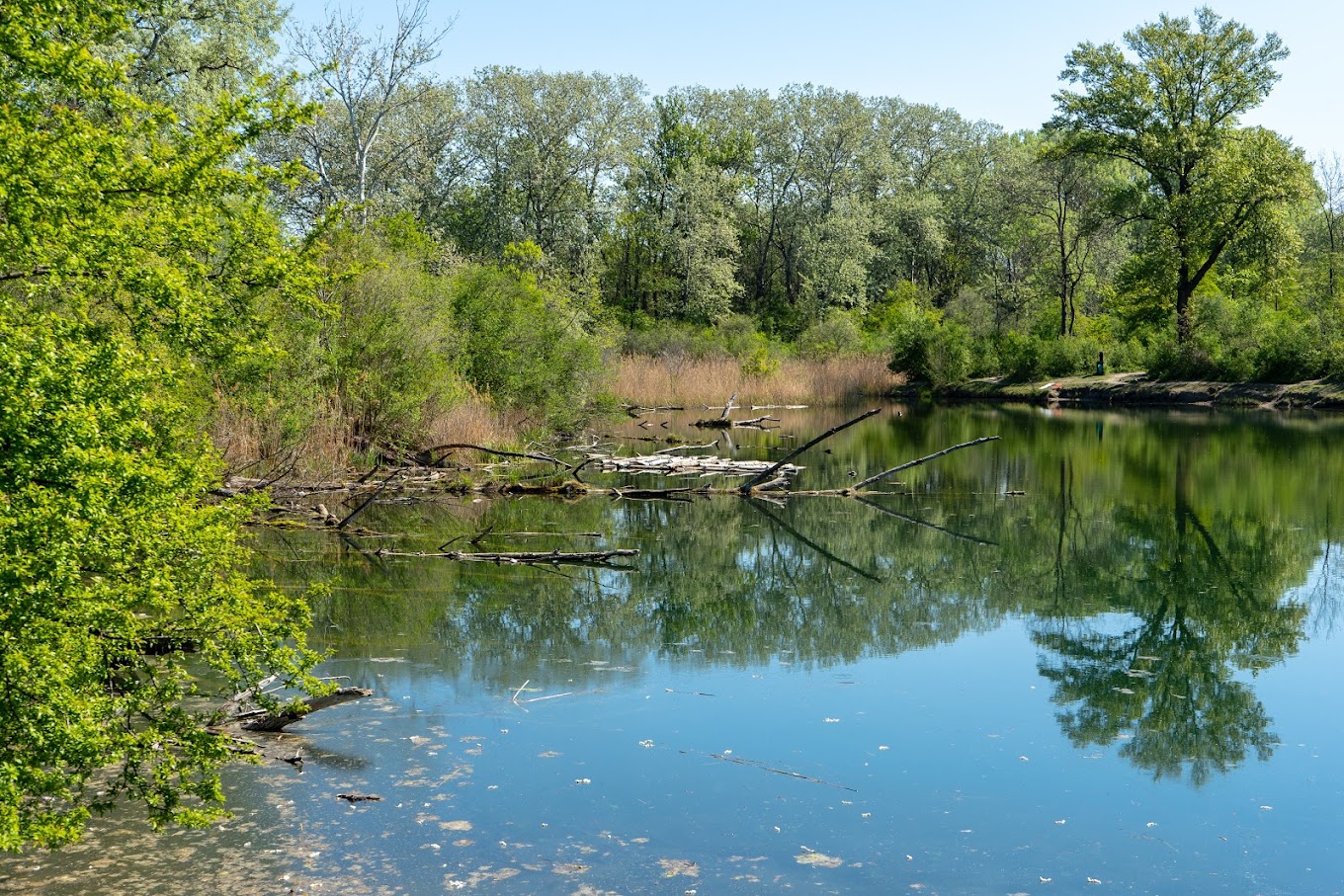 Nationalpark Donau-Auen - Eingang Wien-Lobau