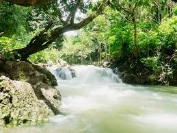 recommendation image