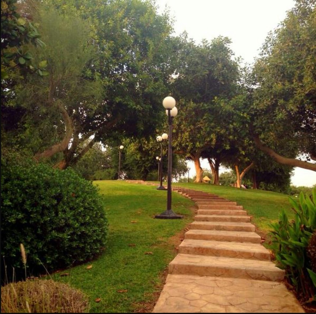 recommendation image