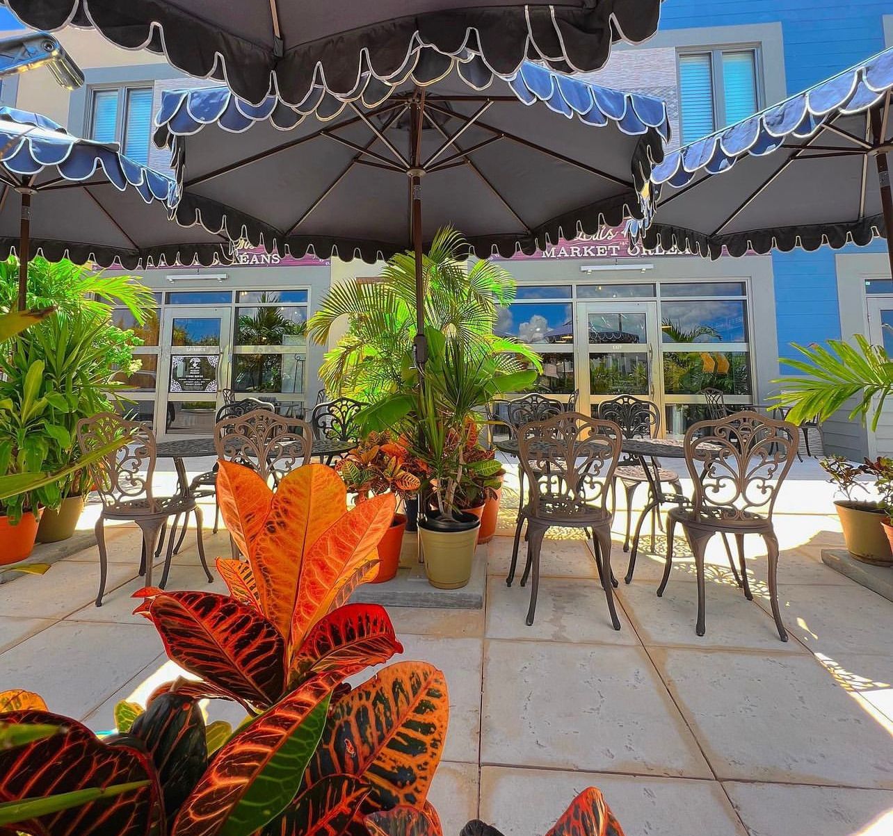 Louis & Steen's Market Orleans