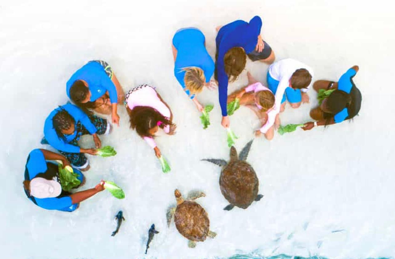 recommendation image