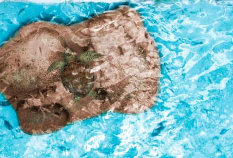 recommendation image