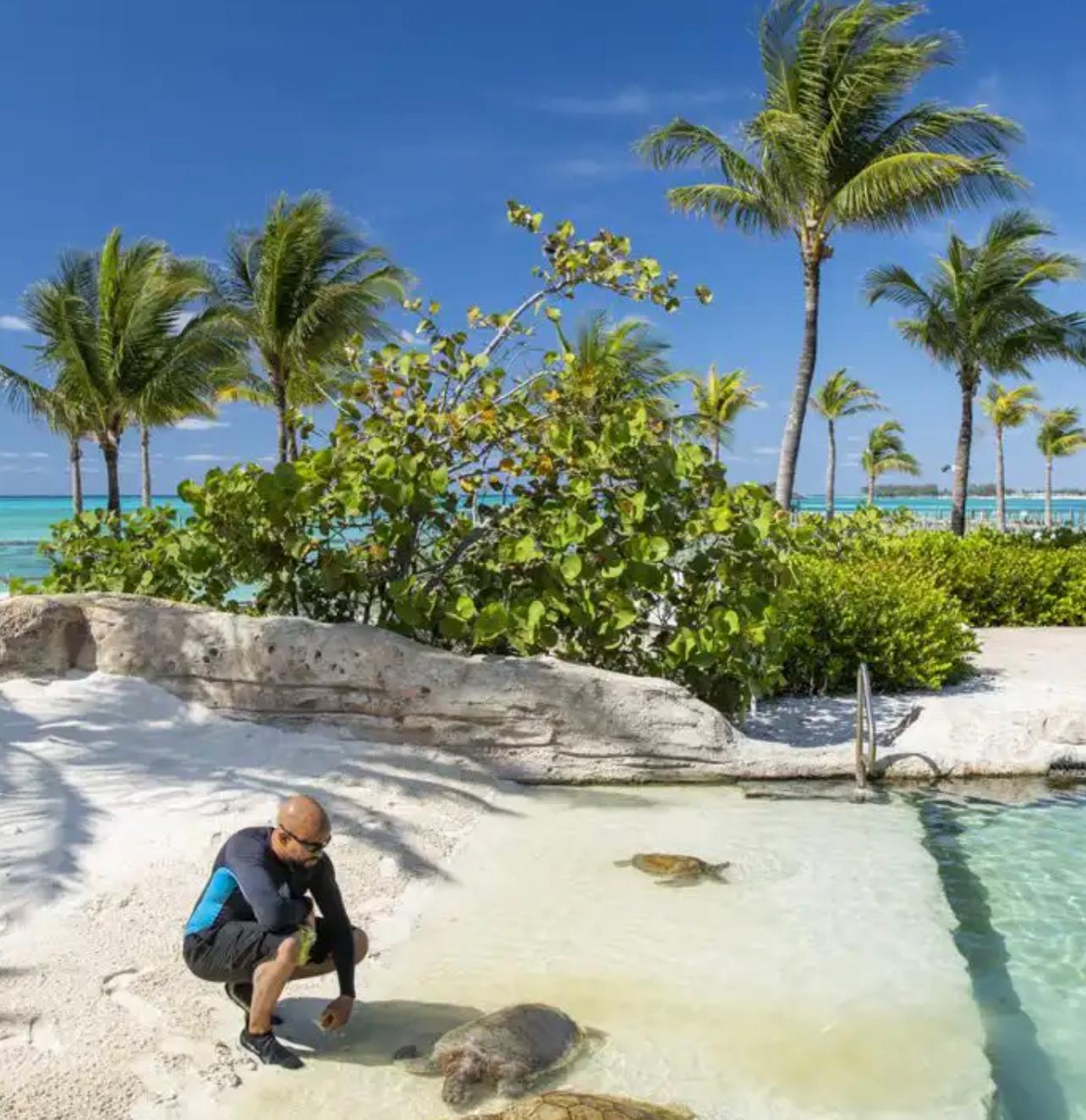 recommendation image