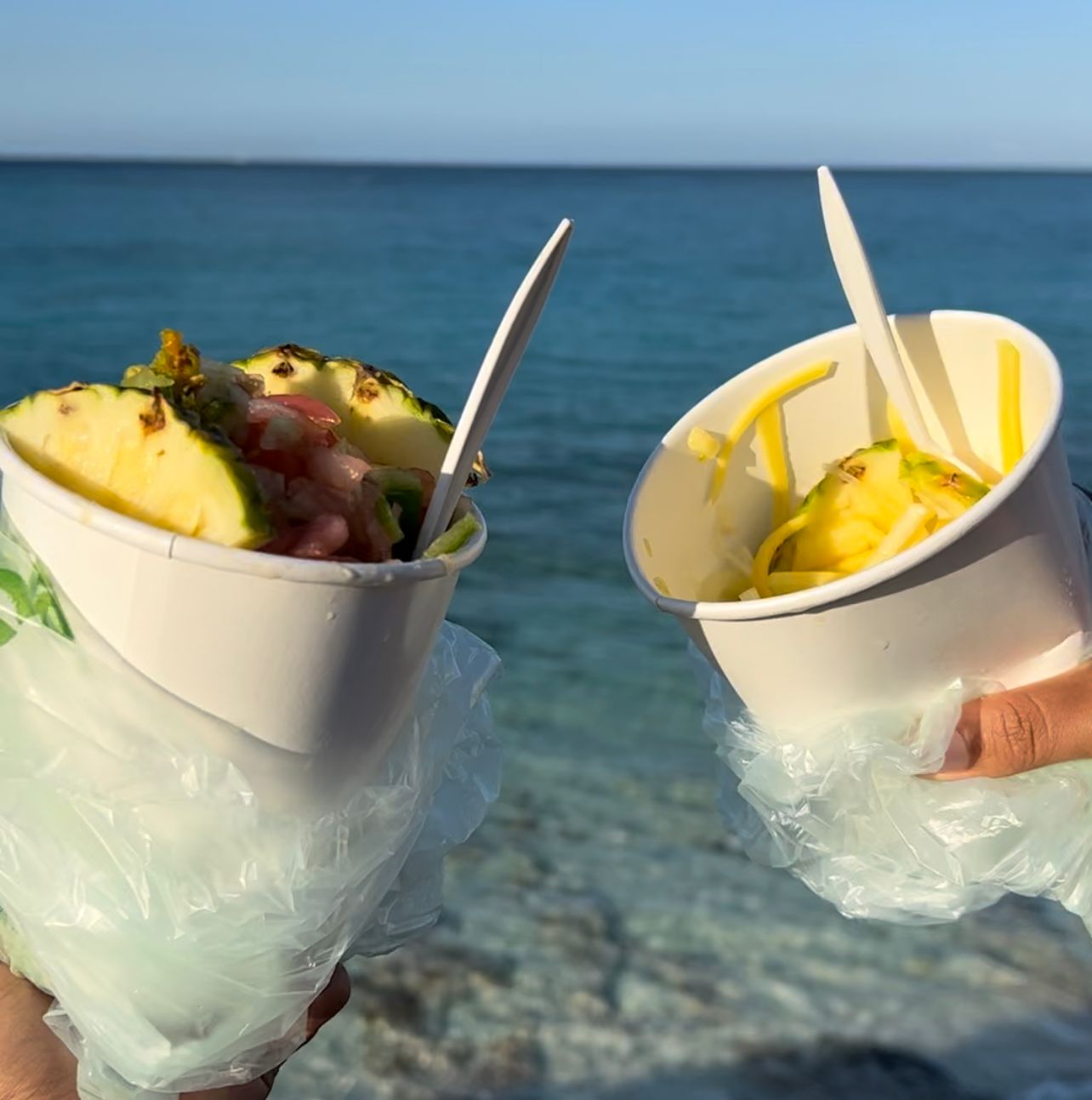 Dino's Gourmet Conch Salad