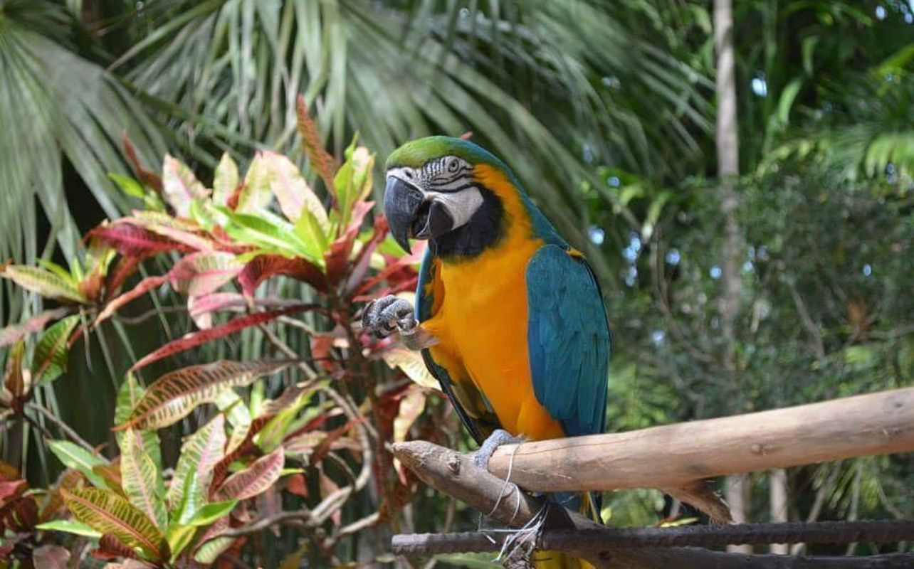 recommendation image