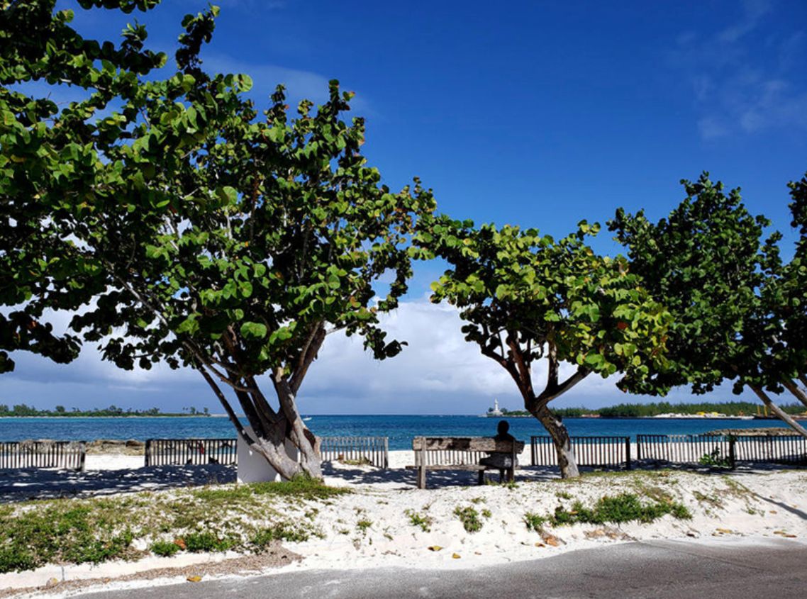 recommendation image