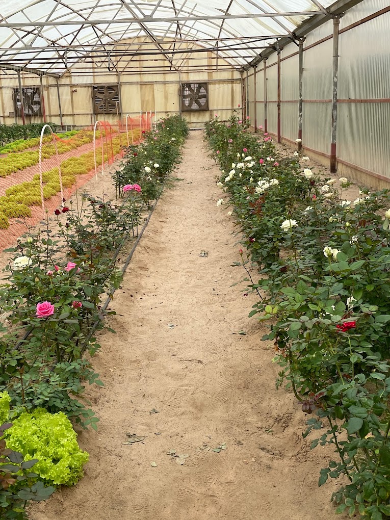 recommendation image