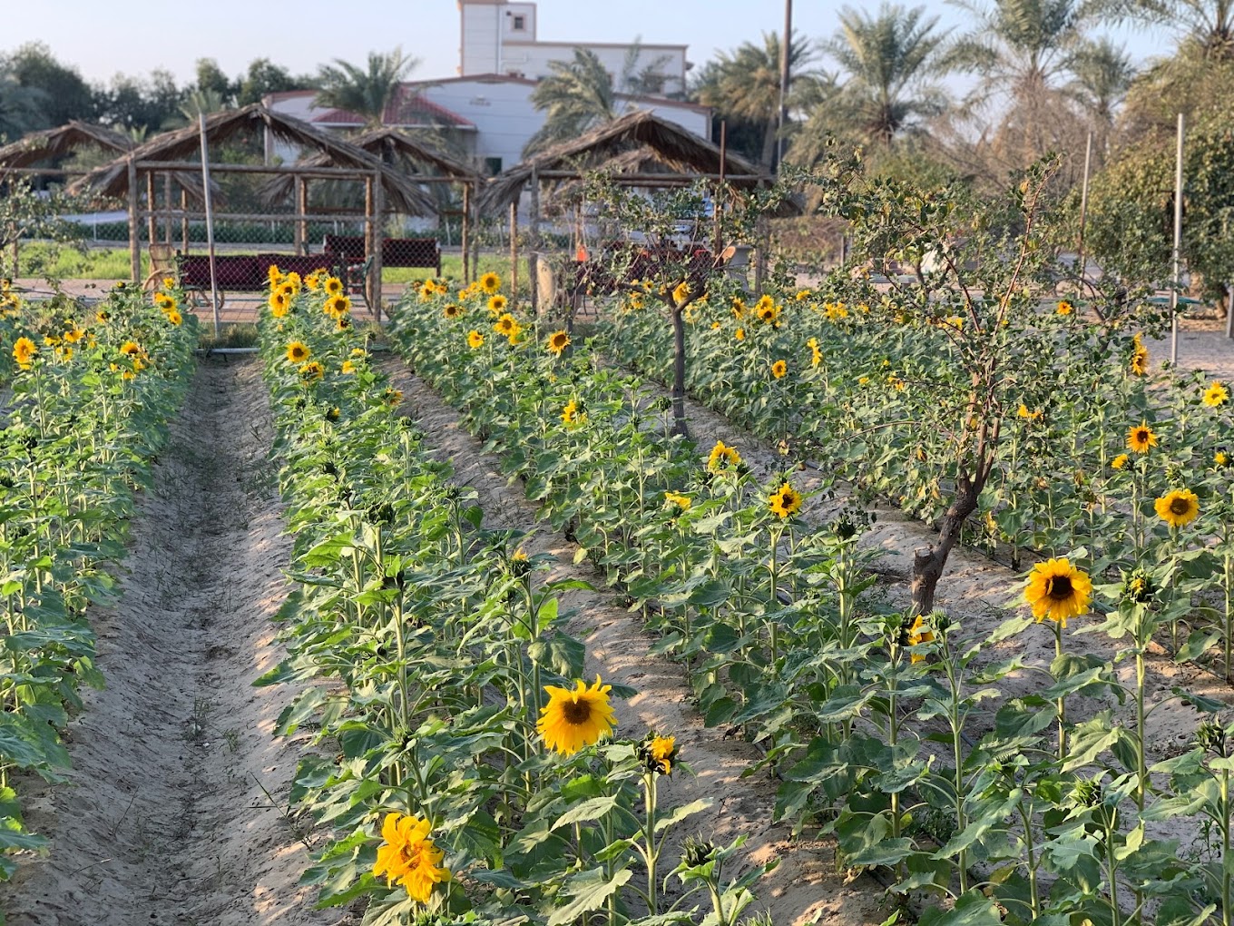 recommendation image