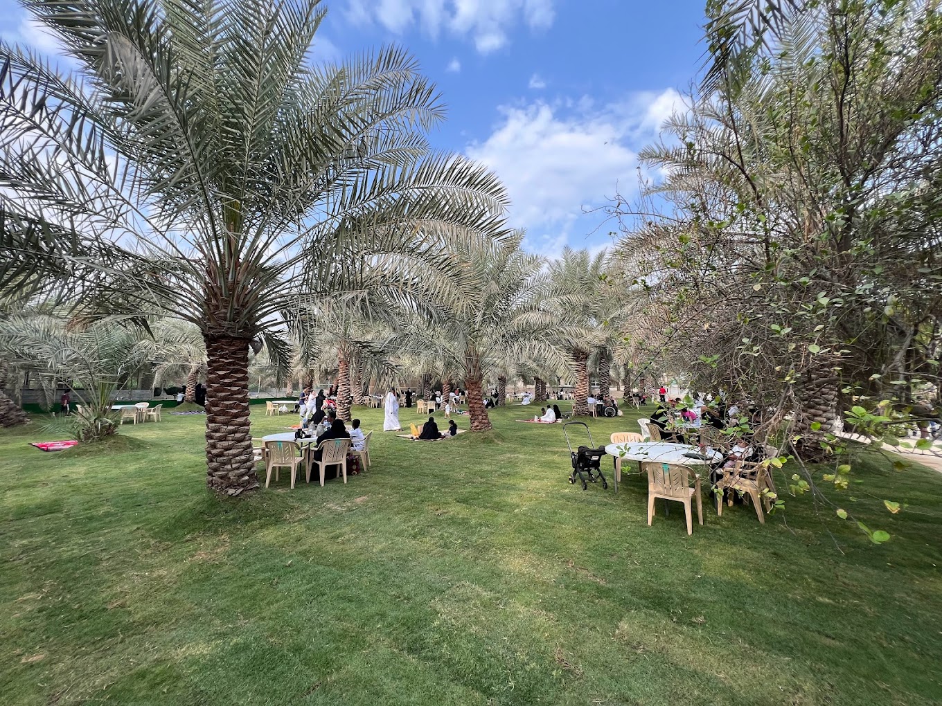 recommendation image