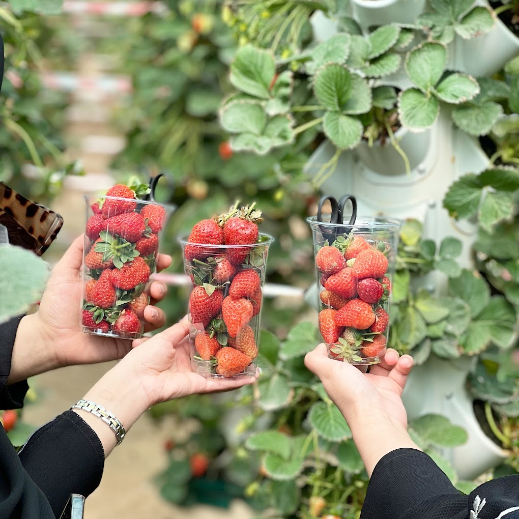 recommendation image