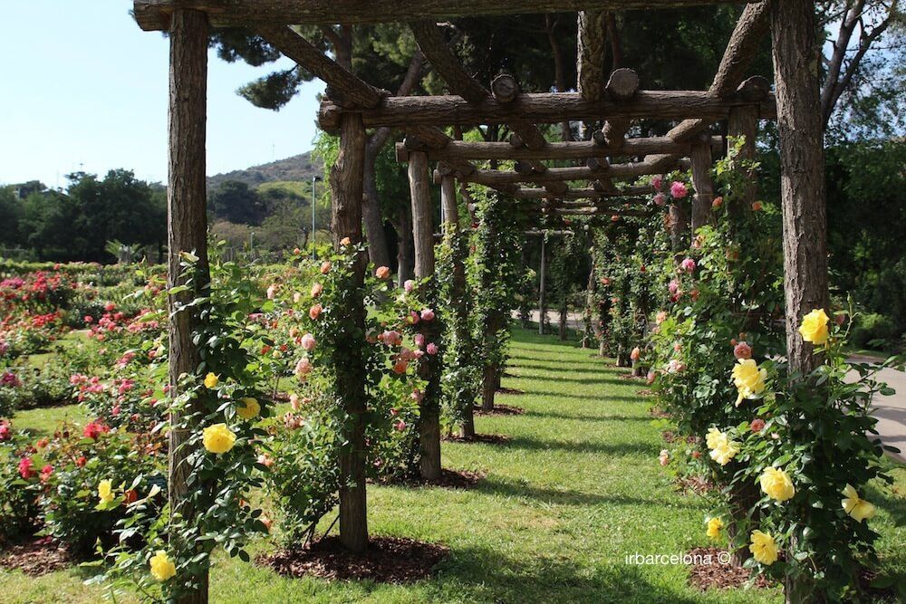 recommendation image