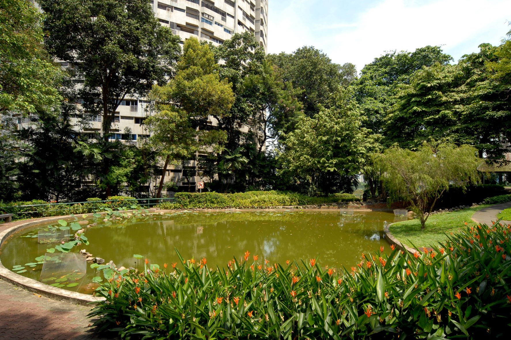 recommendation image