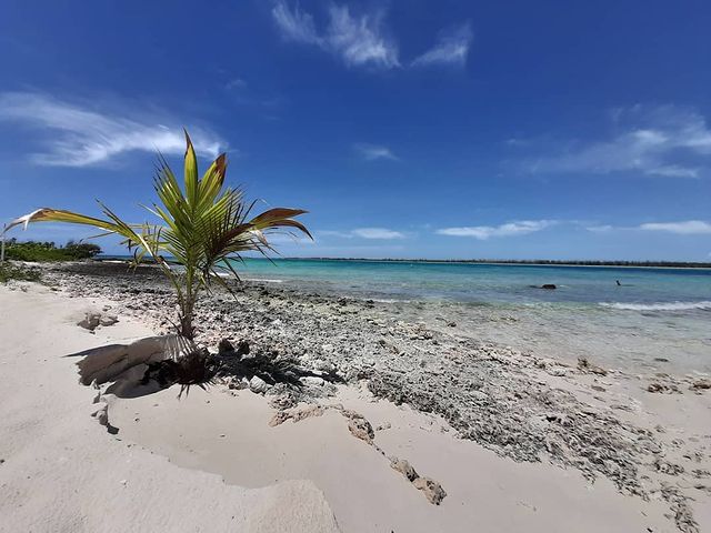 recommendation image