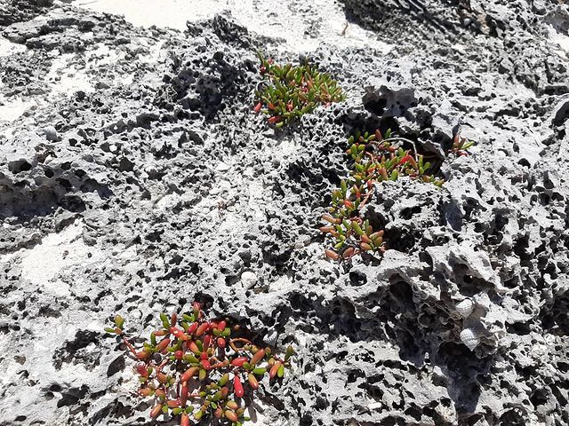 recommendation image