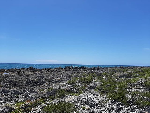 recommendation image