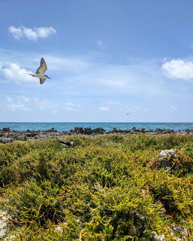 recommendation image