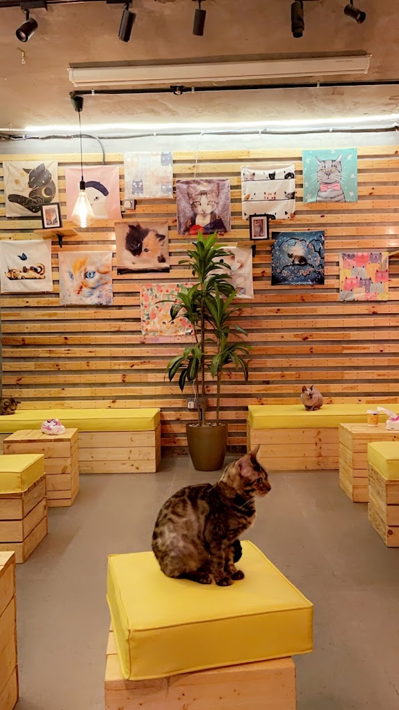 recommendation image