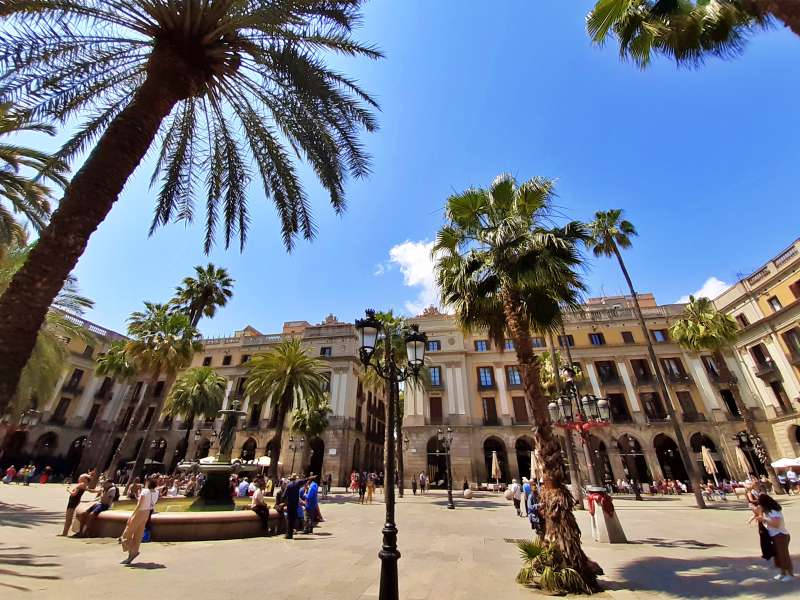 Placa Reial