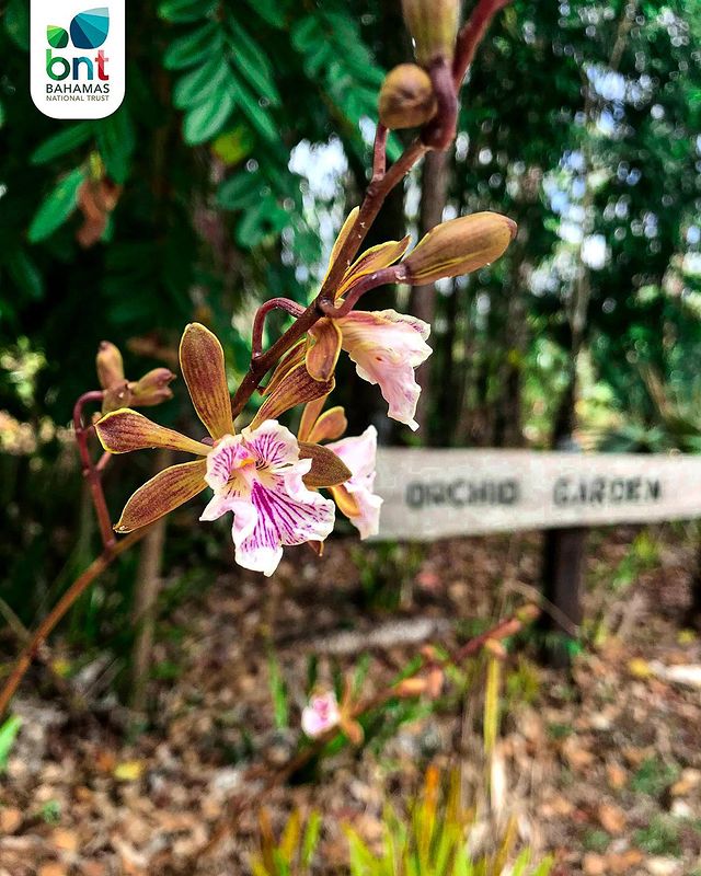 recommendation image