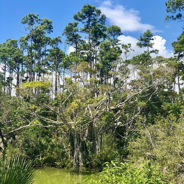 recommendation image