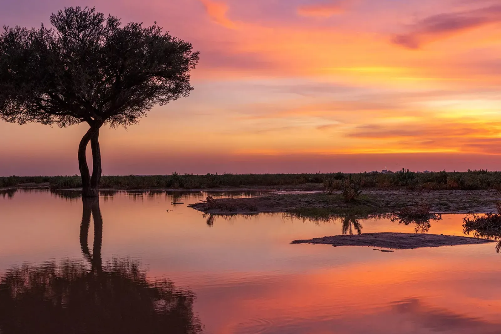 recommendation image