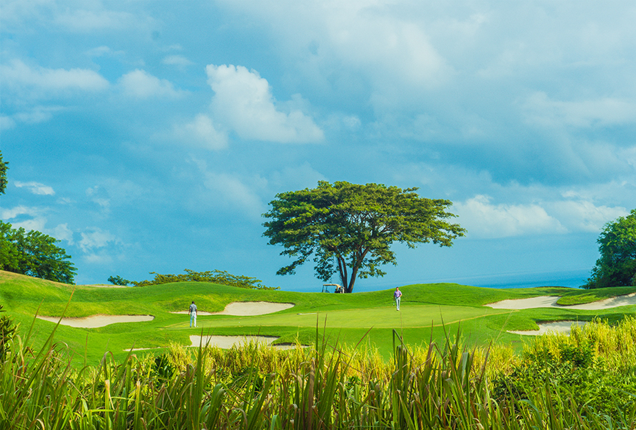 recommendation image