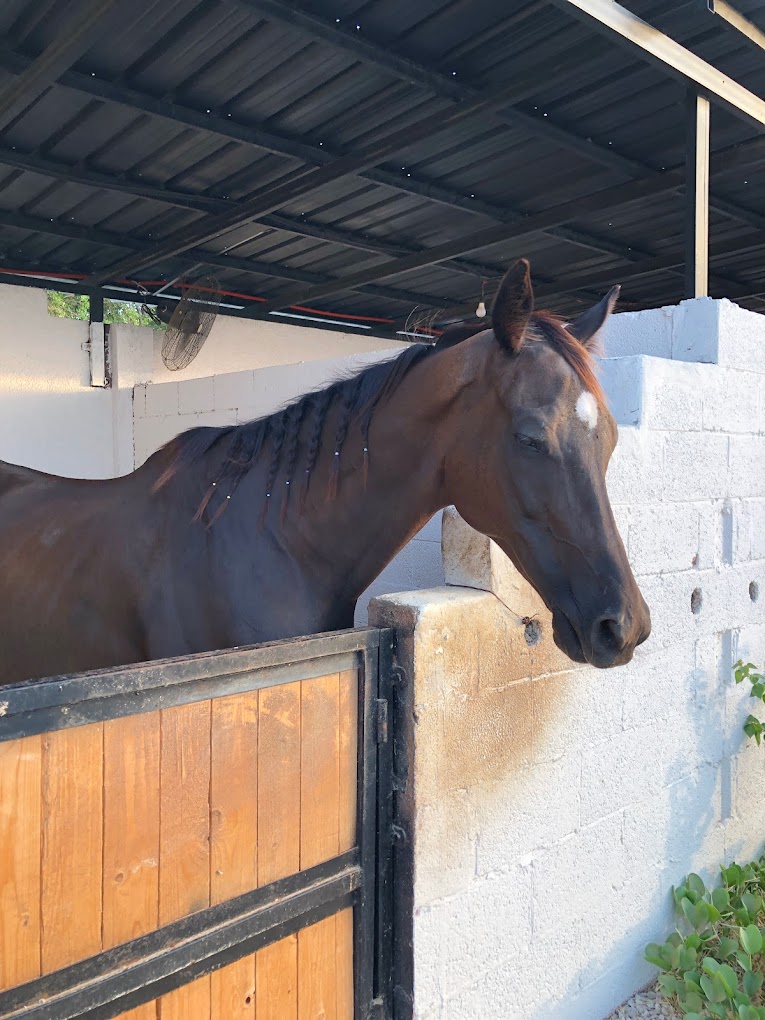 recommendation image