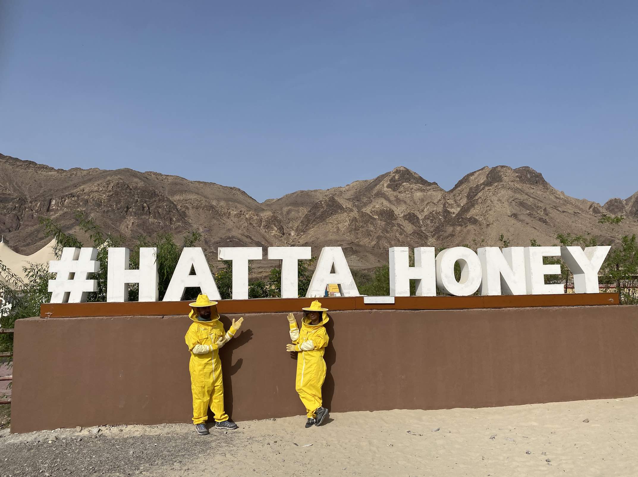 recommendation image