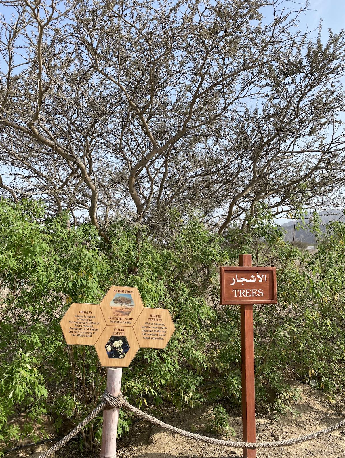 recommendation image