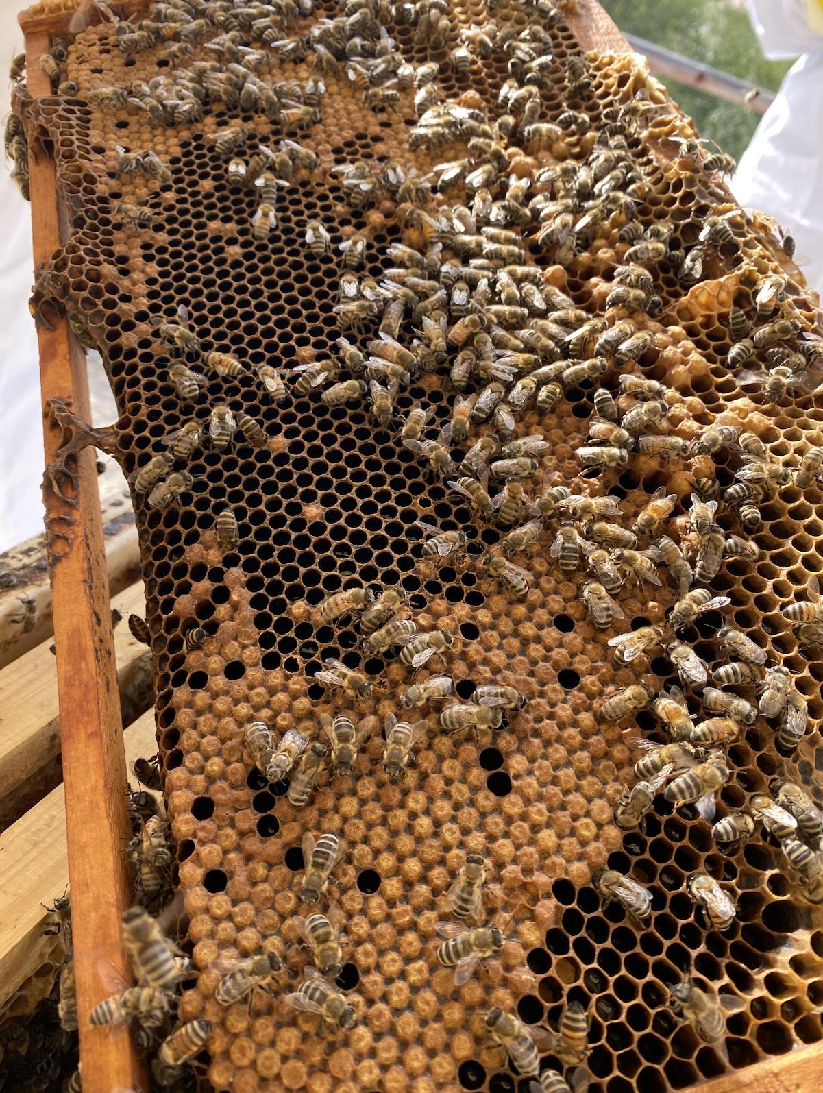 recommendation image