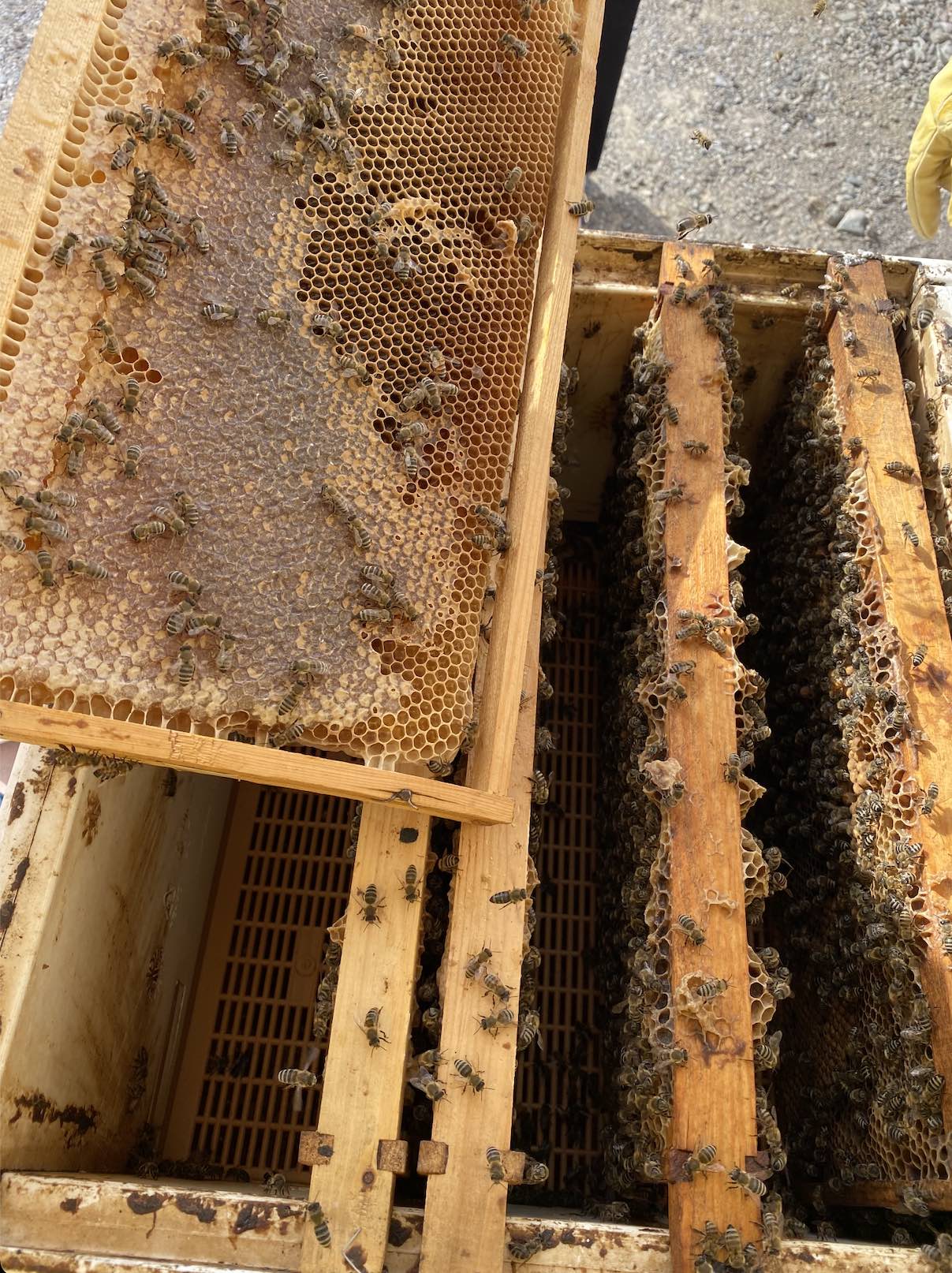 recommendation image