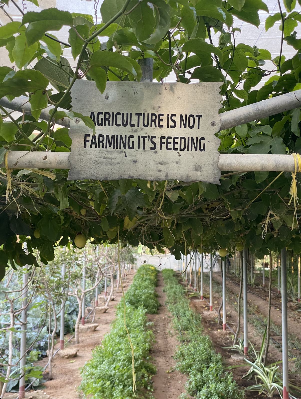 recommendation image