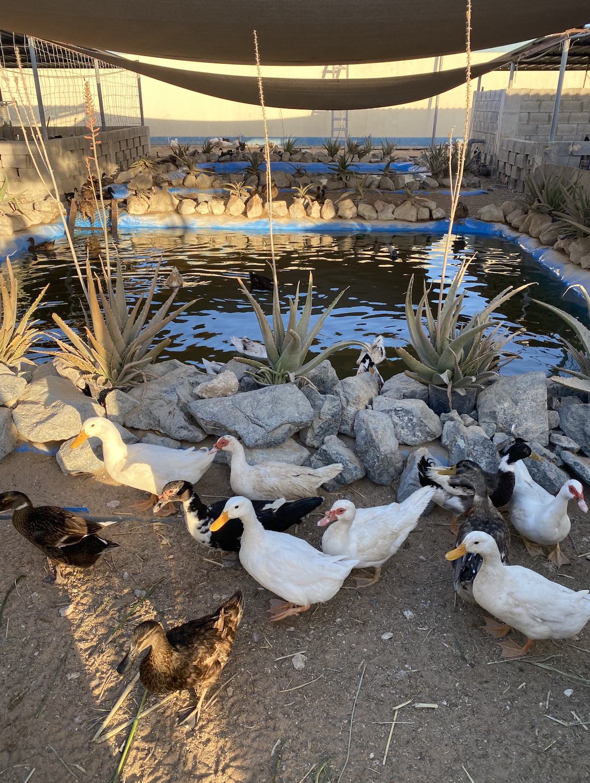 recommendation image