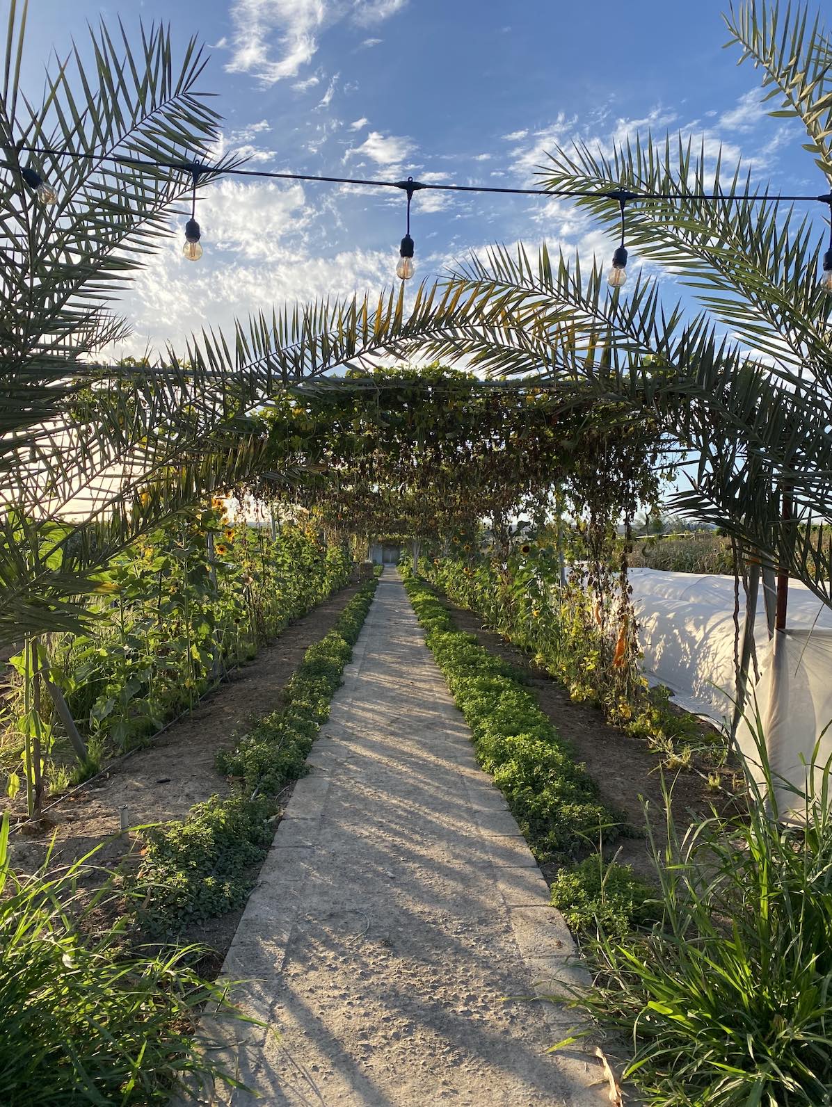 recommendation image