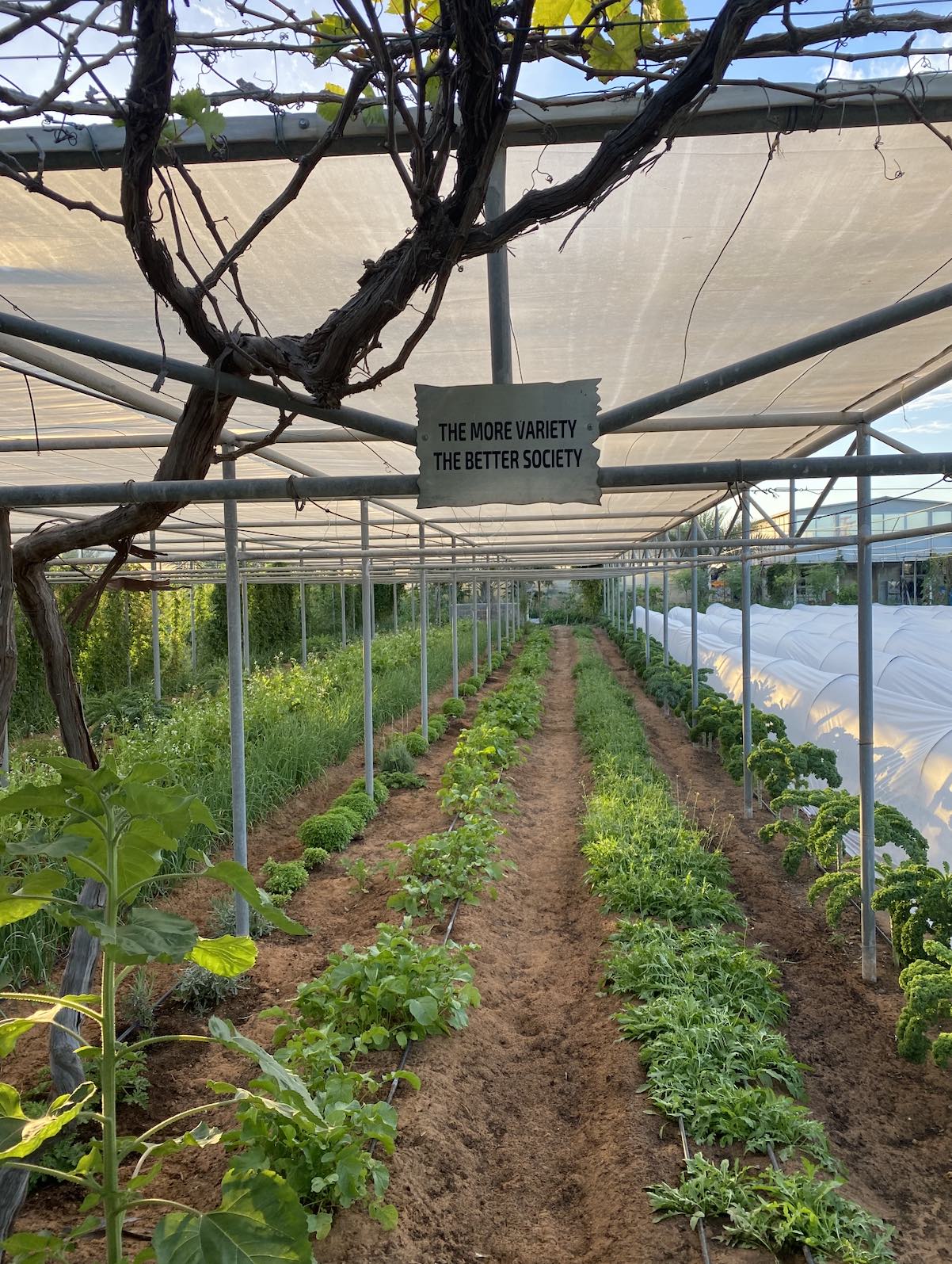 recommendation image