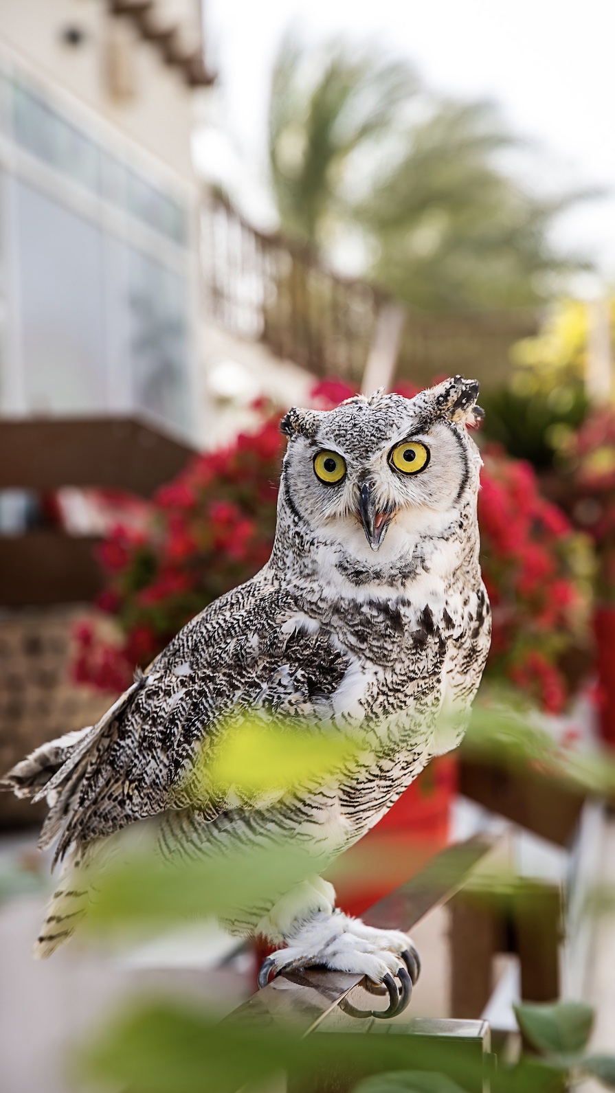 recommendation image